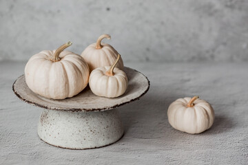 Seasonal autumn food. Fresh pumpkins on a stylish ceramic plate on a gray concrete background. A...