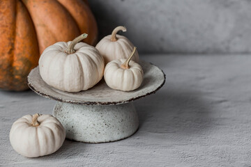 Seasonal autumn food. Fresh pumpkins on a stylish ceramic plate on a gray concrete background. A...