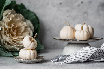 Seasonal autumn food. Fresh pumpkins on a stylish ceramic plate on a gray concrete background. A rich harvest of melons.