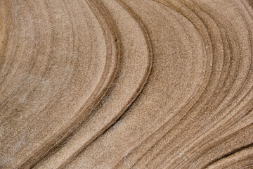 Beautiful Rock Patterns Balmoral Beach Sydney