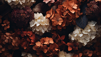 Gorgeous Fall and Autumnal Hydrangeas in Moody Burnt Orange and Cream Color Tones, Leafy Green Foliage, Cozy Thanksgiving Aesthetic with Muted Color Grading - Horizontal
