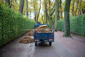 Janitor on small dump truck cleaning leaves in autumn park riding asphalt road. Piles of fallen dry leaves on road side in overcast weather. Picking collecting foliage. Clean public territory concept. - obrazy, fototapety, plakaty