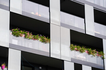 Fototapeta premium Contemporary architecture featuring balconies adorned with a cascade of vibrant flowers against a backdrop of glass and metal