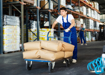 Young guy worker in overalls rolls cart loaded with bags in warehouse