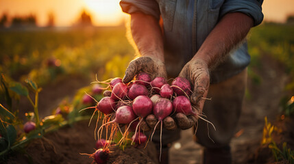 A vibrant individual revels in the bounty of nature, proudly holding a bouquet of fresh radishes amidst a colorful outdoor landscape, showcasing the beauty of both plant and person - obrazy, fototapety, plakaty