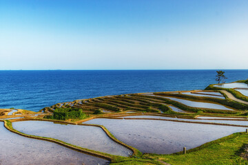 【石川県】白米千枚田