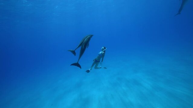 イルカと泳ぐYuki_22_バハマ_2023.6.14
