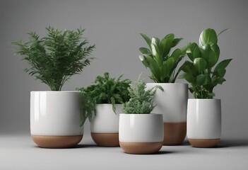 Beautiful plants in ceramic pots isolated on transparent background 3D rendering