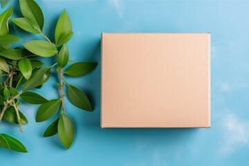 card box from natural recyclable material top view
