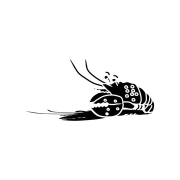 silhouette illustration with shadow of a fat obster for icon or logo