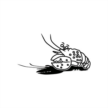 line art illustration with shadow of fat obster for icon or logo
