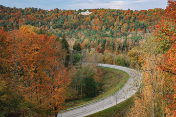 Fototapeta premium road in autumn