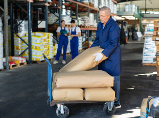 Elderly man puts bulky paper sack of dry construction mix on trolley. Movers shift, move, heavy packages in auxiliary room of repair materials store - obrazy, fototapety, plakaty