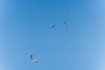 Fototapeta na wymiar Several military parachute jumpers with huge Polish flags against blue sky. Paratroopers with the flag of Poland. High quality photo