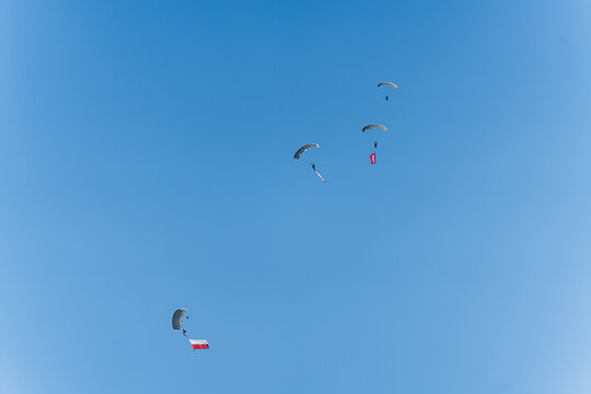 Several military parachute jumpers with huge Polish flags against blue sky. Paratroopers with the flag of Poland. High quality photo