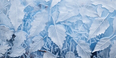 The frost on a leaf, creating a delicate and fragile mosaic of icy crystals.
