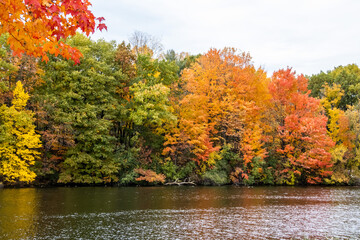 Autumn trees along a river
