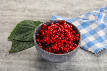 Ripe sweet wild organic cowberry
