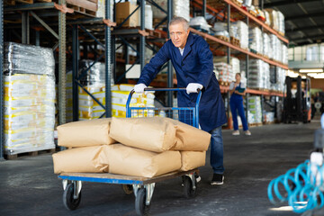 Senior male worker carries, pushes, cart for cargo transportation. Elderly man works as loader in rack area warehouse of construction materials