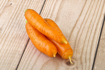 Yoiung natural organic carrot heap