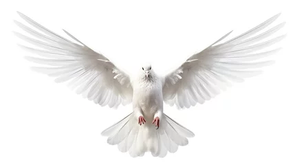 Foto op Canvas Beautiful Flying white dove isolated on a white background. AI generated image © prastiwi