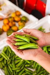 holding chícharos with hands