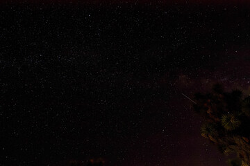 Joshua Tree National Park Starry Night Sky