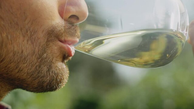 Extreme close-up view of a young man with beard drinking wine from wineglass in the Wineyard. Shot in slow-motion