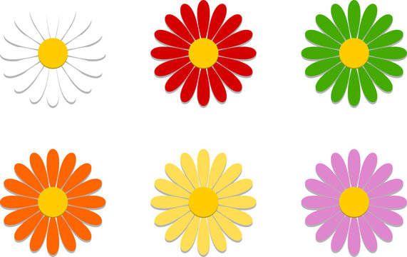 Colorful White Red Green Orange Yellow and Pink Daisy Chamomile Flower Symbol Icon Set. Vector Image.