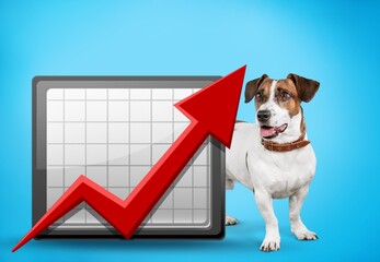 Cool successful funny dog holding statistics and analytics.