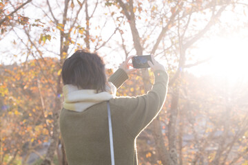 秋の紅葉を眺めて撮影する女性　顔無し