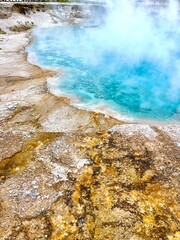 geyser in park national park