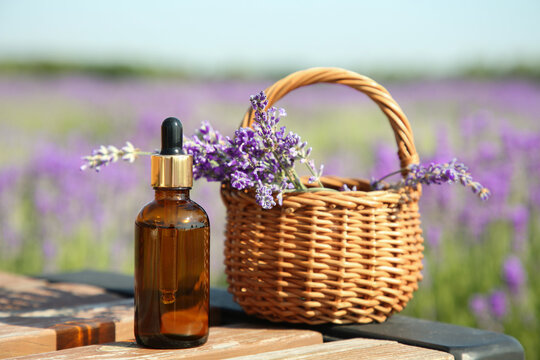 Bottle of essential oil and wicker bag with lavender flowers on wooden table in field outdoors