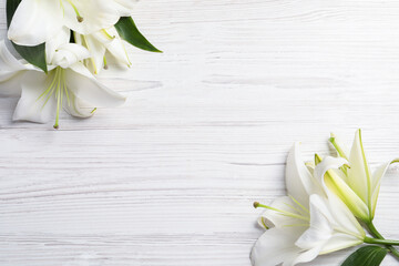 Beautiful lily flowers on white wooden table, flat lay. Space for text