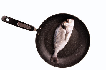 Gilthead, raw fish isolated and disposed in a fry pan. Isolated on a white background. Cut ou - 666837572