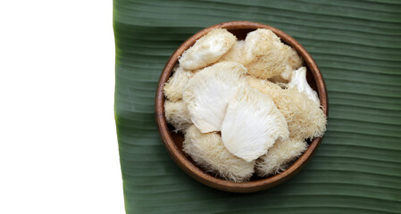 Fresh lion's mane mushroom on white background. (Yamabushitake Mushroom)