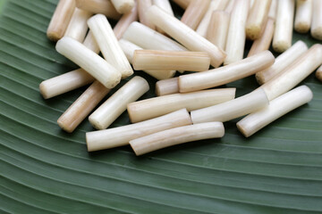 Fresh lotus rootlet on banana leaf