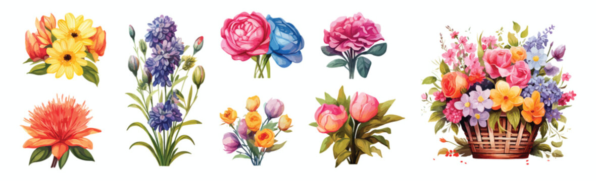 A Collection of floral illustrations, from single blooms to a full basket arrangement, each capturing the unique beauty of various flowers with vibrant colors and artistic detail