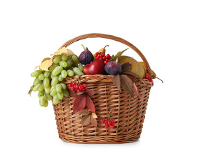 Wicker basket with different fresh fruits on white background