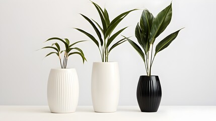 white vase with flowers, modern vase and interior plants pots furniture white background