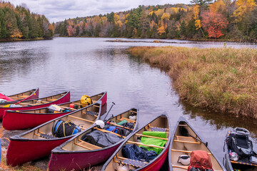 canoes pulled up on an island in the madawaska river ontario in fall with autumn color