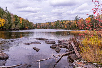 looking up stream  on the madawaska river ontario in fall with autumn color and clouds room for terxt