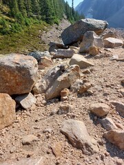 Rocky Mountains, Cavell Meadows, 