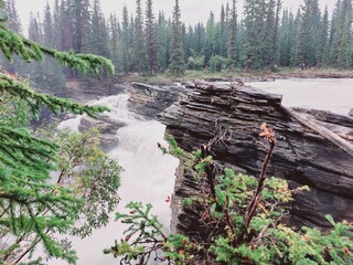 Fototapeta premium Rocky Mountains, Athabasca Falls, Sunwapta Falls