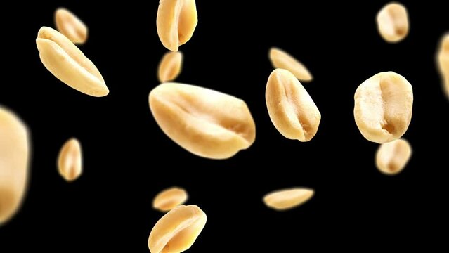 Falling Peanuts  in black background  loop