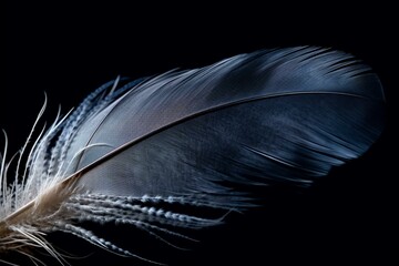 Close-up feather on black background with blurred details. Generative AI