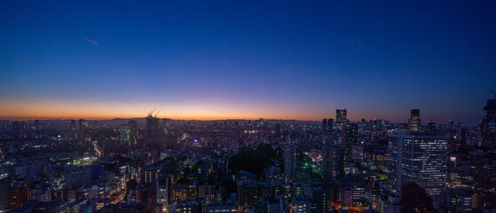 Tokyo central area city view at magic hour.