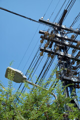 Electrical poles, lamps and trees