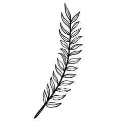 Fototapeta premium leaf handdrawn illustration 