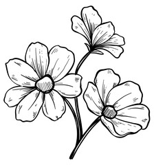 flower hand drawn